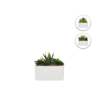 [:en]Koopman Decorative Plant With Pot 14.5x15 CM[:ka]დეკორატიული მცენარე კერამიკის ქოთნით 14.5x15 სმ Koopman[:]