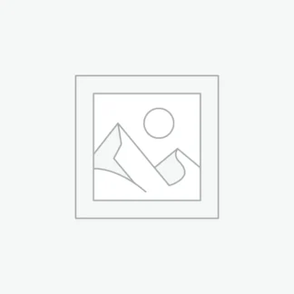 კატეგორიის გარეშე